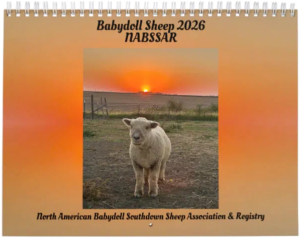 Click to be redirected to Zazzle to order a calendar. Photo by Lacher Family, Lacher Family Farm, Friend, NE