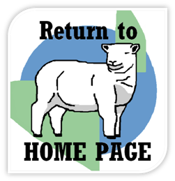 Return Home